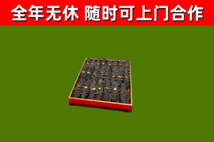 利通区回收海参